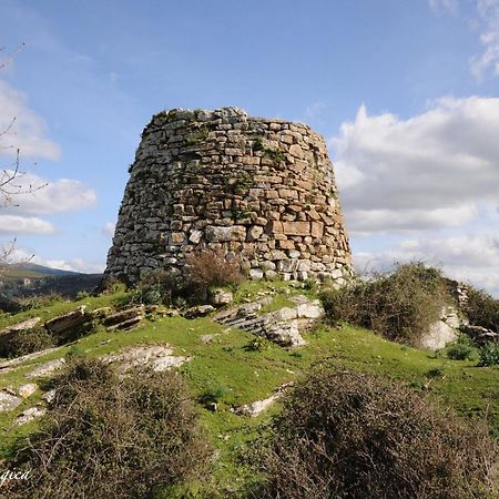S'Antiga Inn, Centro Storico Ed Escursionismo In Sardegna Seùlo 외부 사진